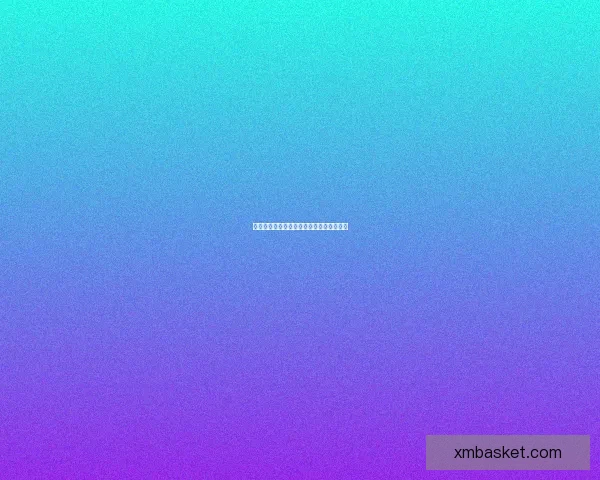 熊猫体育平台全面评测及使用体验详细解析